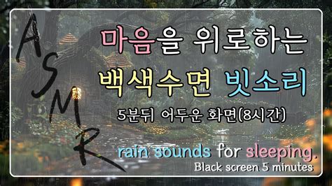 마음에 안정과 위로를 해주는 백색수면 빗소리 빗소리asmr 백색소음 불면증 Rain Sound Youtube