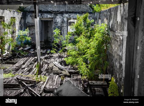 Fort George Island Landscape Hi Res Stock Photography And Images Alamy