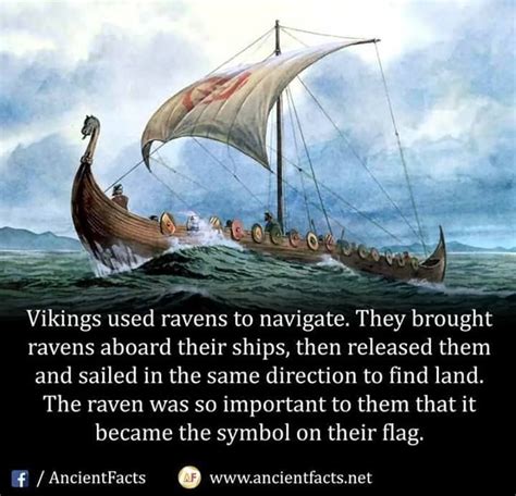 Ancient history facts, History facts interesting, Viking facts