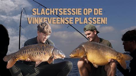 SLACHTSESSIE OP DE VINKEVEENSE PLASSEN YouTube