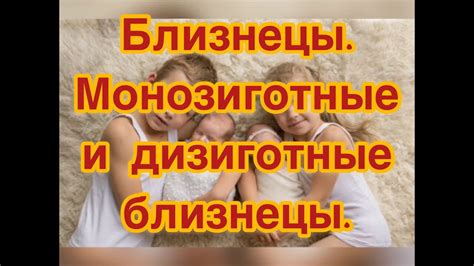 Близнецы. Монозиготные и дизиготные близнецы. - YouTube