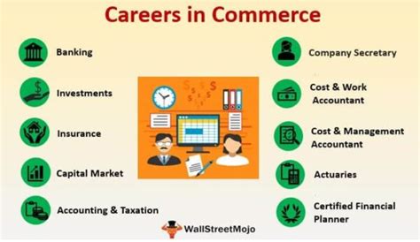 Career Options In Commerce Moneypurse Net