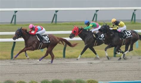 【市川の土曜競馬コラム・天王山s】 日刊ゲンダイ競馬