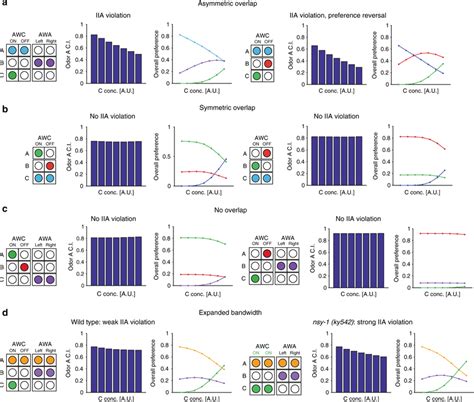 Sensory Gain Control Model Of Chemosensation Explains Circuit