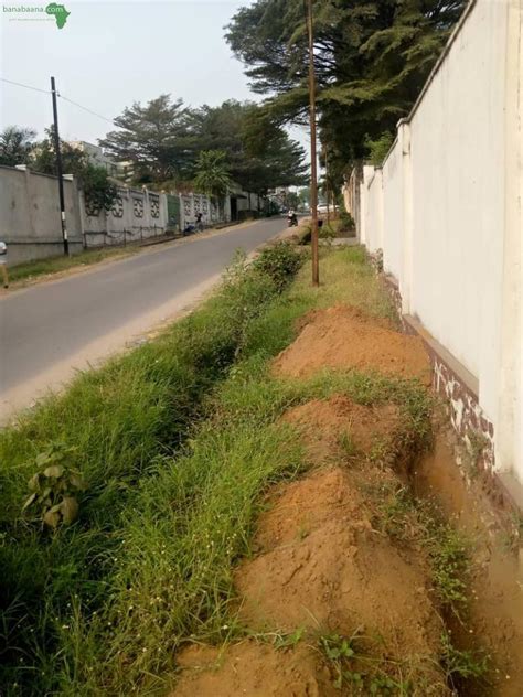 Terrains Parcelles Terrain Sur Macadam À Ngaliema Macampagne Kinshasa