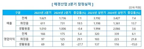 애경산업 2분기 매출 1736억원 전년 比 71↑영업익 54↑