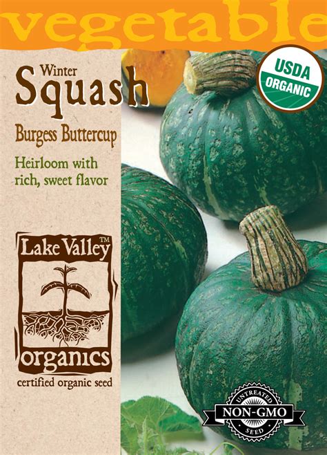 Squash Winter Burgess Buttercup Item 4141 Lake Valley Seed