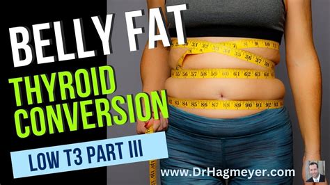 🍔Thyroid Belly Fat.Belly Fat- How Low T3 (hormones) Causes a Fat Belly👨 ...