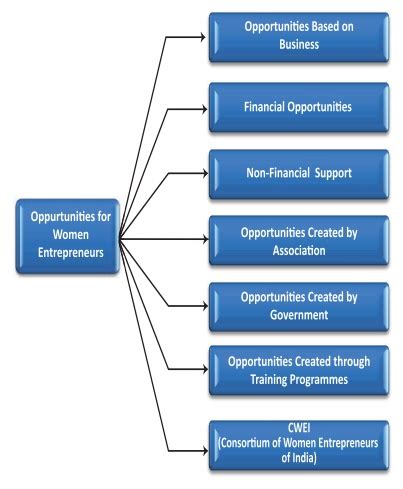 Women Entrepreneurs - Definition, Opportunities, Challenges