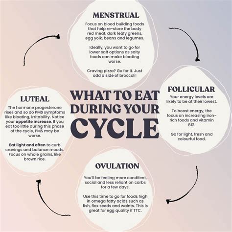 What To Eat At Each Stage Of Your Menstrual Cycle Our Remedy