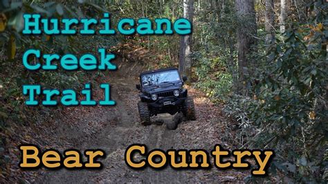 Hurricane Creek Trail And Max Patch Road In Ncbear Country Youtube