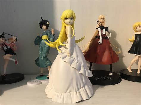 Newest Addition To My Monogatari Collection Rararagi