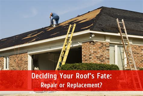 Deciding Your Roofs Fate Repair Or Replacement Ryans Roofing