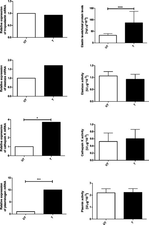 Effect Of Endurance Training On Gene Expression And Protein Content