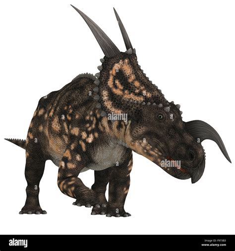 Ceratopsid High Resolution Stock Photography and Images - Alamy