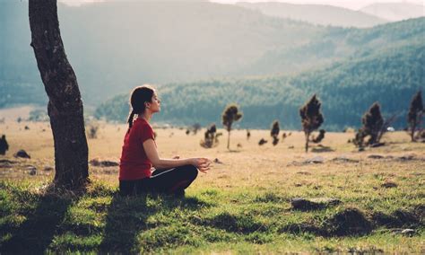 ¿qué Es El Mindfulness O Atención Plena Veigler Business School