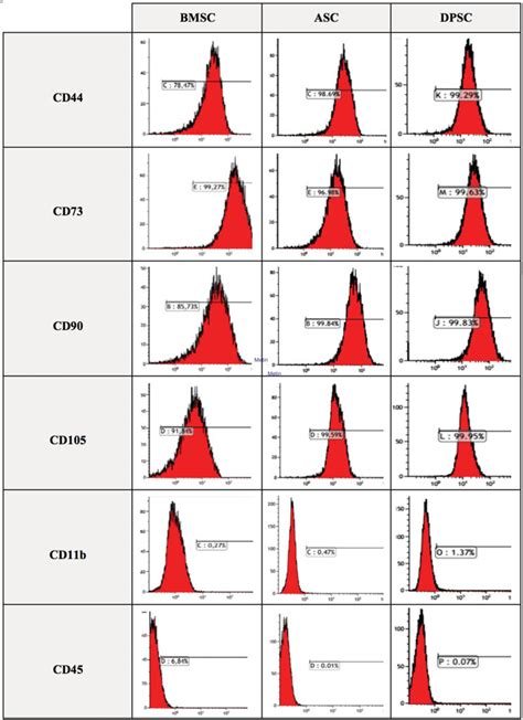 Representative Flow Cytometry Analysis Of Cell Surface Markers In