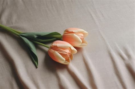 Premium AI Image | Two tulips on a bed with one that says tulips on it.