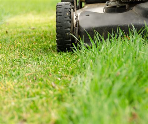 When Should You Stop Mowing Your Lawn In The Fall Experts Reveal Homes And Gardens