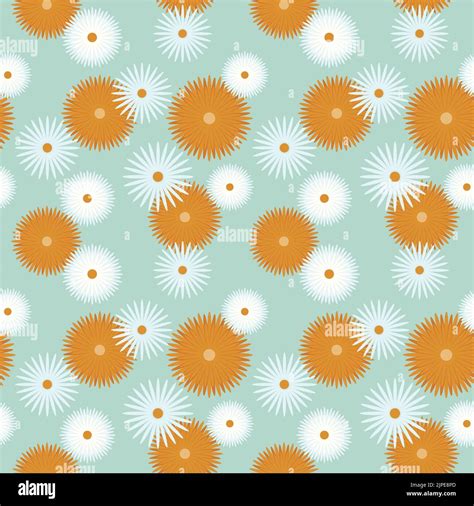 Chamomile Calendula Marigold Pattern Floral Vector Illustration Stock