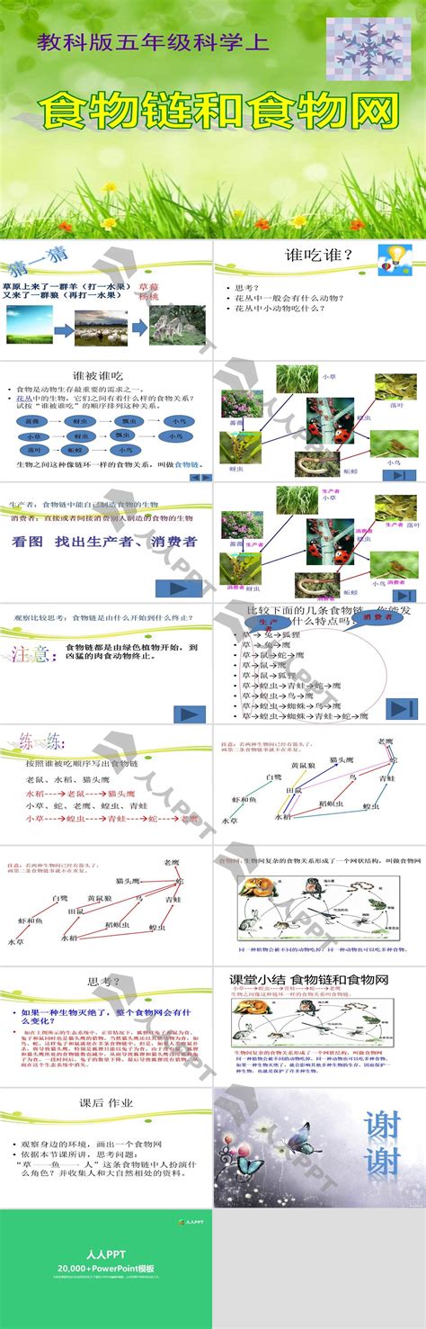 《食物链和食物网》生物与环境ppt课件3 Ppt课件下载 人人ppt