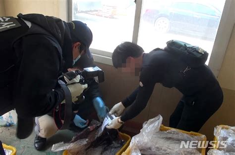 울산지검 고래고기 환부사건 일부 왜곡 보도 해명 공감언론 뉴시스통신사