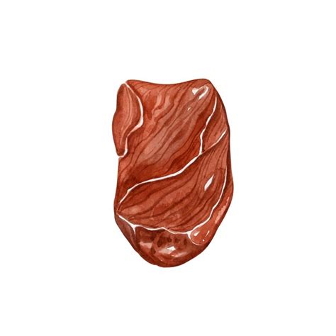 Premium Vector Raw Meat Steak Isolated On White Top View Watercolor