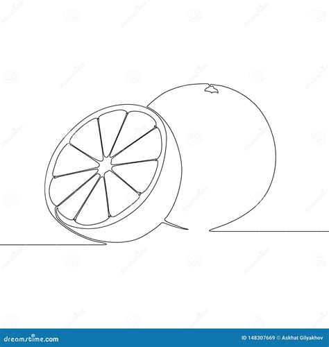 Continuous Line Orange Citrus Tropical Fruit Vector Illustration