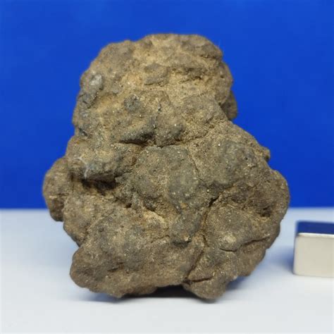 Xl Chondrite D Enstatite Venant De L Orbite De Mercure M T Orite