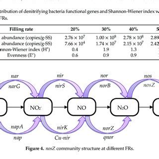 Distribution of denitrifying bacteria functional genes and ...