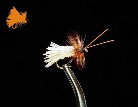 Goddard Caddis For Sale 150fly Trout Fishing Flies