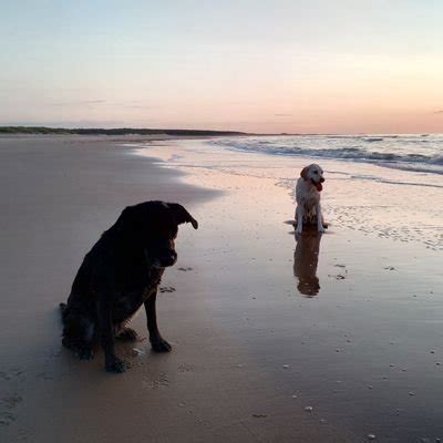 Naked Huntress S On Twitter Another Delve Into The Archives Another Huntress Rural Guns