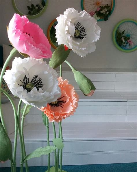 Giant Paper Poppy Large Poppy Poppy Flowers Large Flowers Etsy