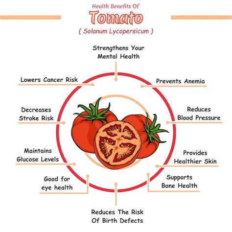 Premium Vector Health Benefits Of Tomato