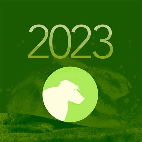 Year of the Monkey: Personality, Horoscope for 2023 Daily Astrology ...