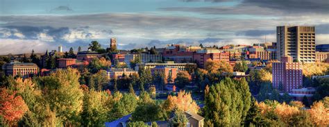 Autumn At Wsu Photograph By David Patterson Fine Art America