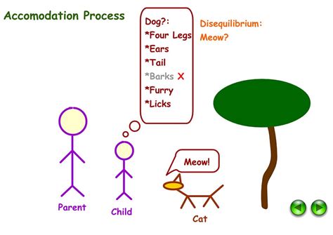 Piaget's Theory Of Accommodation Hotsell | ingco.ro