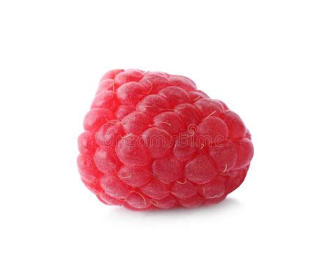 Delicious Fresh Ripe Raspberry Isolated Stock Photo Image Of Organic