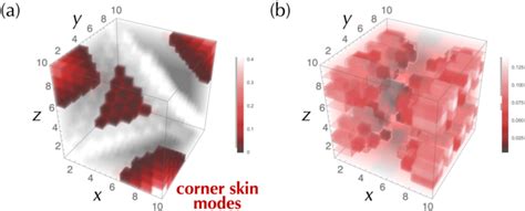 PDF Higher Order Non Hermitian Skin Effect Semantic Scholar