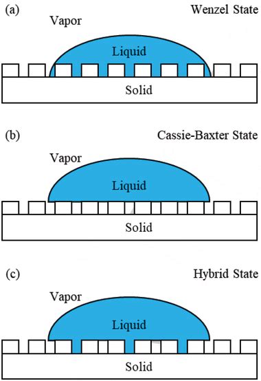 Schematic Diagrams Demonstrating The Wetting Behaviour Of A Droplet On