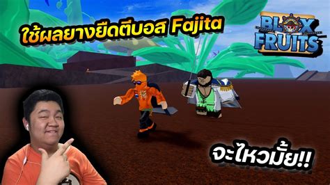 Roblox Blox Fruits ใช้ผลยางยืดตีบอส Fajita Youtube