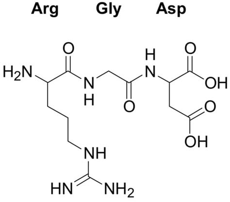 Click Chemistry For The Synthesis Of Rgd Containing Integrin Ligands