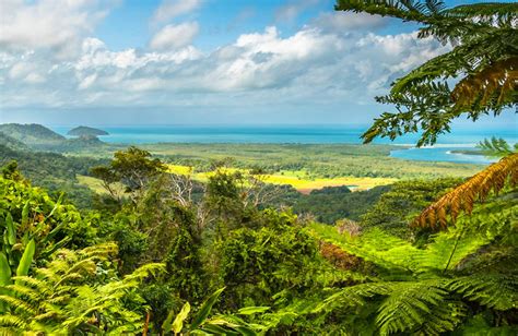 Los Bosques M S Maravillosos Del Mundo La Nacion