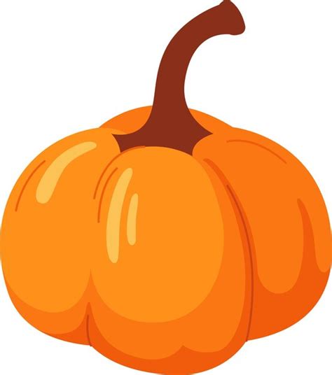 Premium Vector Pumpkin Vegetable Ripe