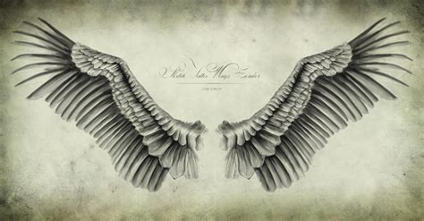 Condors Wings By Chechist On Deviantart