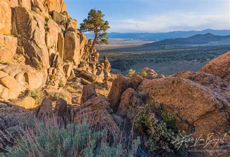 Pine Nuts Pine Nut Mountains NV Art In Nature Photography