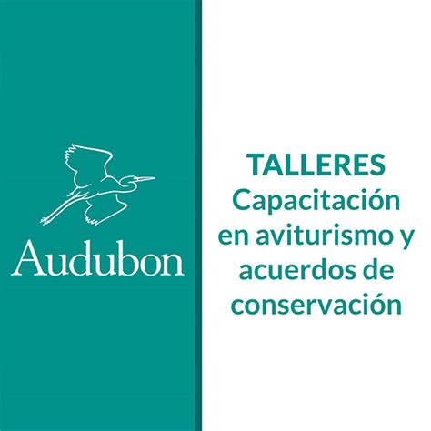 Informe Talleres De Informadores De Aves Realizados En Cada Localidad