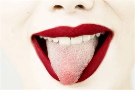 Open Mouth Sticking Out Tongue Stock Image Everypixel