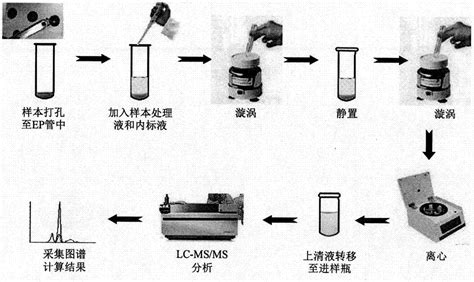 一种液相色谱串联质谱法定量干血滤纸片中他克莫司试剂盒及其制备的制作方法