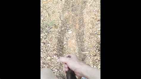 狂野的裸体 Pornhub Gay